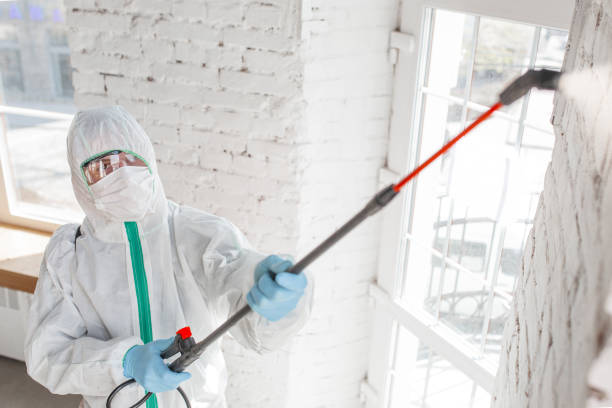 Mold Odor Removal Services in Cloverdale, IN